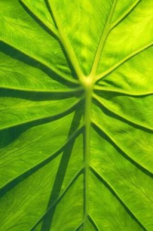 Cover of Close-up of a Taro Leaf Journal