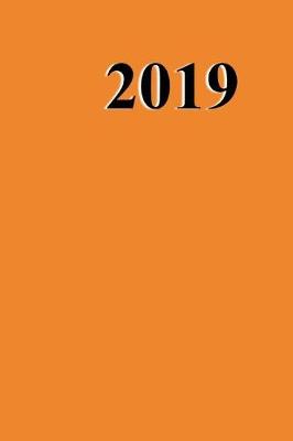 Cover of 2019 Daily Planner Orange Color Simple Plain Orange 384 Pages