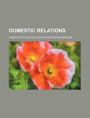 Book cover for Domestic Relations