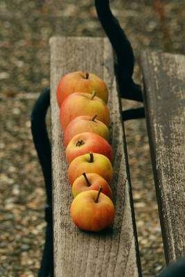 Book cover for Apples in a Row on a Bench