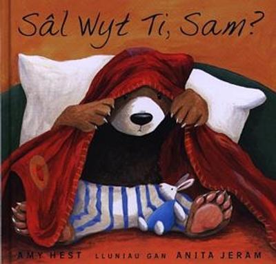 Book cover for Sâl Wyt Ti, Sam?