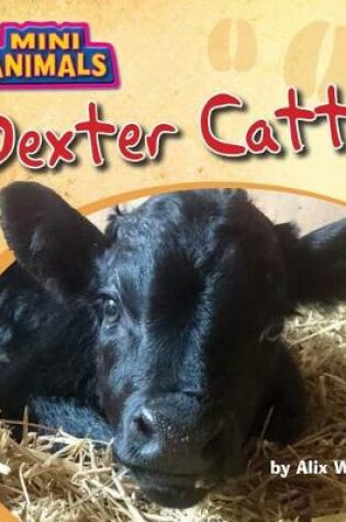 Cover of Dexter Cattle