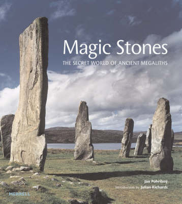 Book cover for Magic Stones
