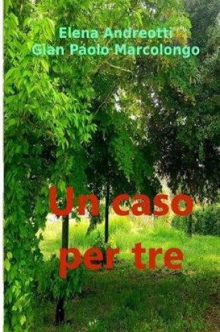 Cover of Un Caso Per Tre