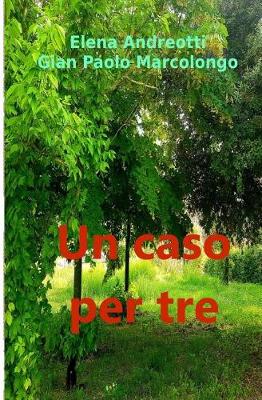 Book cover for Un Caso Per Tre