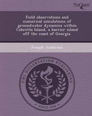 Book cover for Field Observations and Numerical Simulations of Groundwater Dynamics Within Cabretta Island