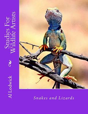 Book cover for Snakes and Lizards