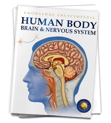 Book cover for Human Body