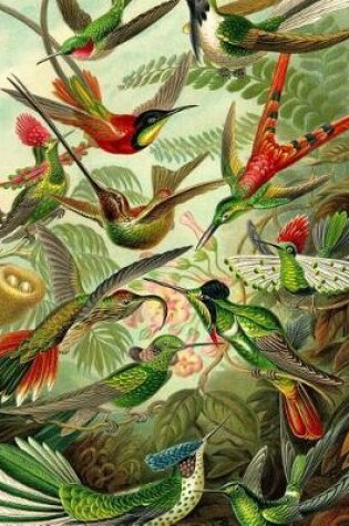 Cover of Haeckel's Hummingbirds Composition Notebook