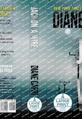 Book cover for Jack on a Wire Large Print Hardcover Edition