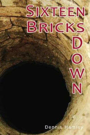 Cover of Sixteen Bricks Down