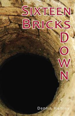 Book cover for Sixteen Bricks Down