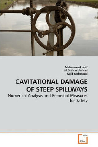 Cover of Cavitational Damage of Steep Spillways