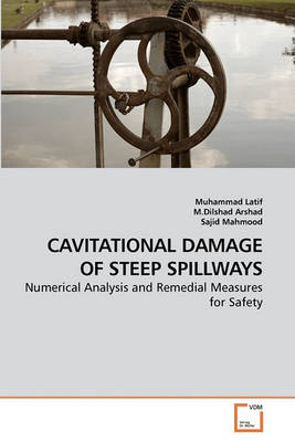 Book cover for Cavitational Damage of Steep Spillways