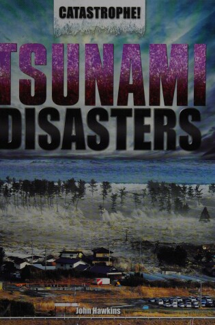 Cover of Tsunami Disasters