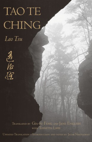 Book cover for Tao Te Ching