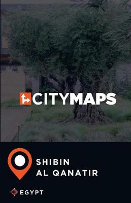 Book cover for City Maps Shibin al Qanatir Egypt