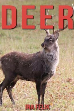 Cover of Deer