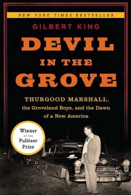Book cover for Devil in the Grove