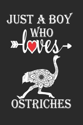 Book cover for Just a Boy Who Loves Ostriches