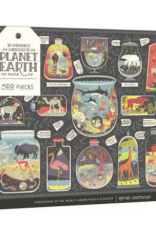 Cover of Wondrous Workings of Planet Earth Puzzle