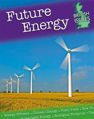 Book cover for Future Energy