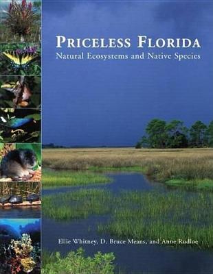 Book cover for Priceless Florida