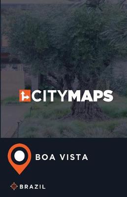 Book cover for City Maps Boa Vista Brazil