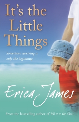 Book cover for It's The Little Things