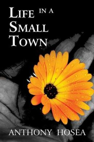 Cover of Life in a Small Town