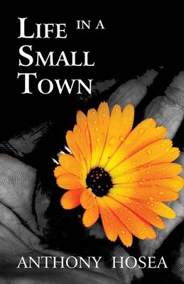 Book cover for Life in a Small Town