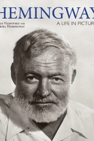 Cover of Hemingway