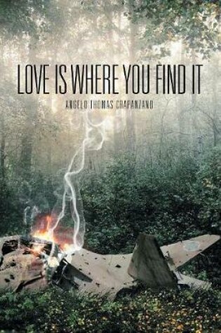 Cover of Love Is Where You Find It