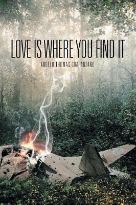 Book cover for Love Is Where You Find It