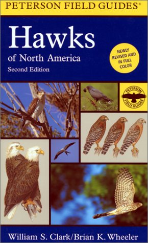 Book cover for Field Guide to Hawks of North America