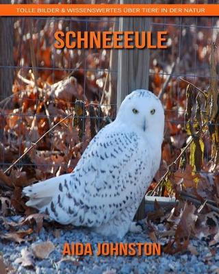 Book cover for Schneeeule