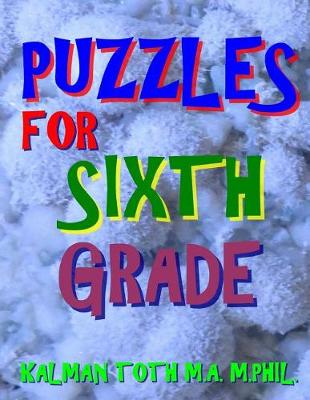 Book cover for Puzzles for Sixth Grade