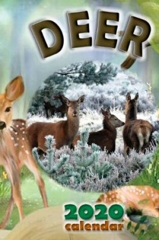 Cover of Deer 2020 Calendar