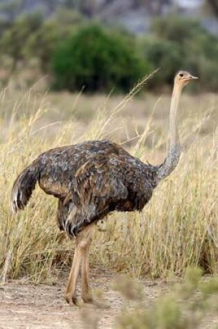 Cover of African Ostrich (Struthio Camelus) Journal