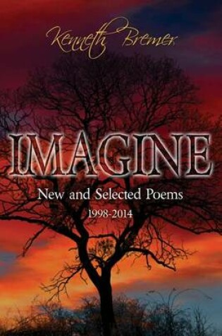 Cover of Imagine