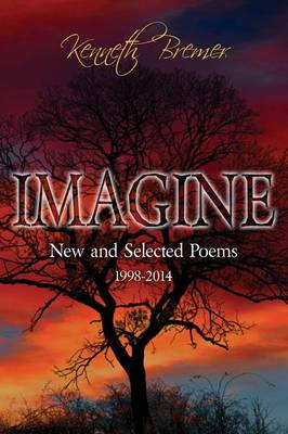 Book cover for Imagine