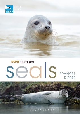 Book cover for RSPB Spotlight Seals