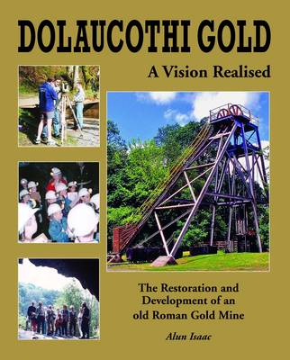 Book cover for Dolaucothi Gold