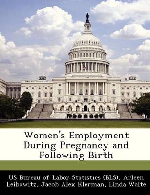 Book cover for Women's Employment During Pregnancy and Following Birth