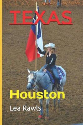 Book cover for Texas