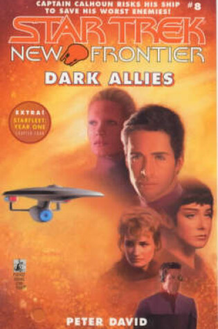 Cover of Dark Allies