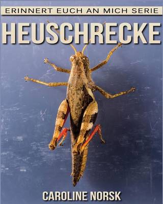 Book cover for Heuschrecke