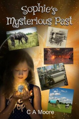 Cover of Sophie's Mysterious Past