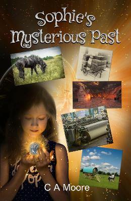 Book cover for Sophie's Mysterious Past