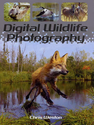 Book cover for Digital Wildlife Photography